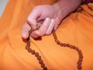 mala de rudraksha