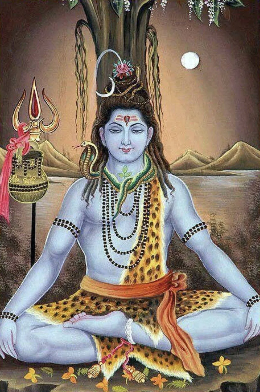 lord-shiva-cool-art-bgiqkxie5cyvw1al Shiva